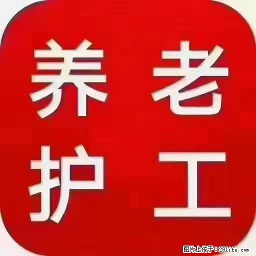 上海国企养老院，星级酒店环境，招聘养老护工 - 职场交流 - 洛阳生活社区 - 洛阳28生活网 luoyang.28life.net
