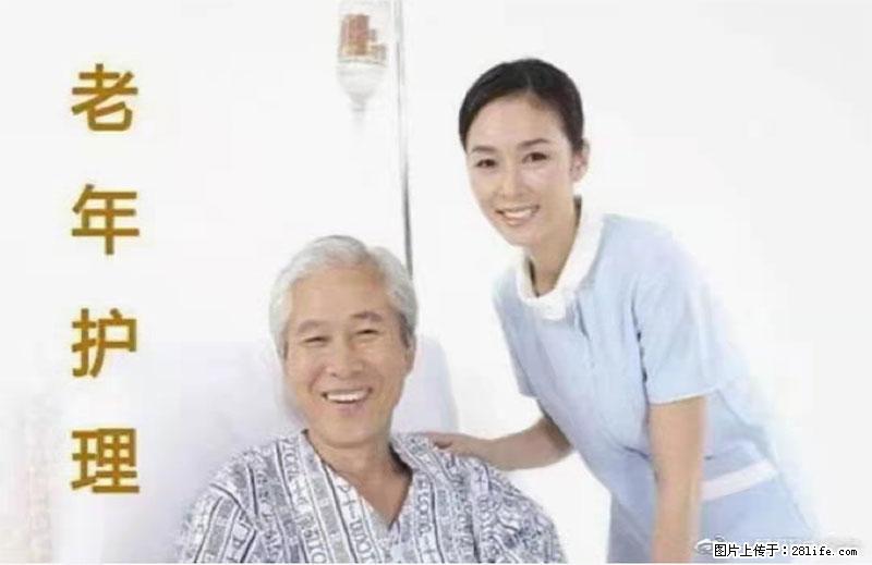 上海国企养老院，星级酒店环境，招聘养老护工 - 职场交流 - 洛阳生活社区 - 洛阳28生活网 luoyang.28life.net