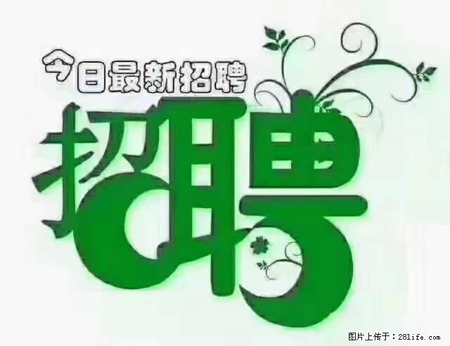 【招聘】产康师 - 职场交流 - 洛阳生活社区 - 洛阳28生活网 luoyang.28life.net