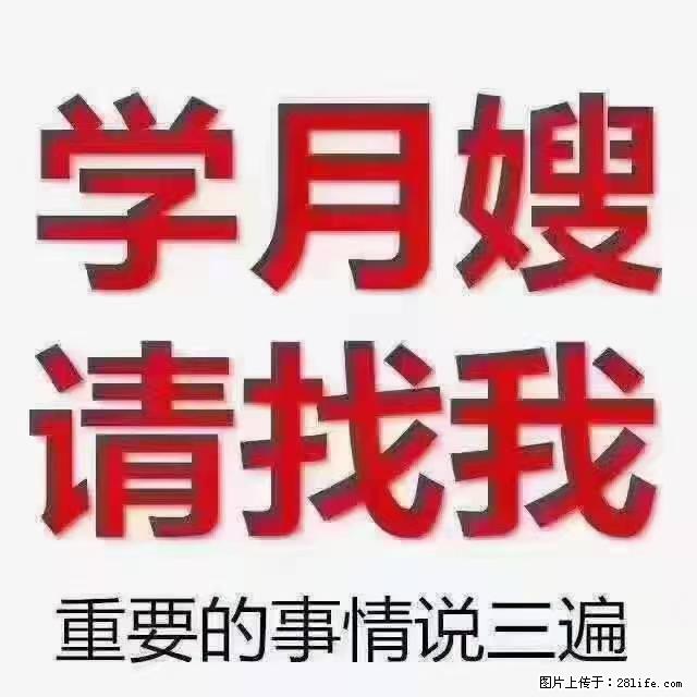 【招聘】月嫂，上海徐汇区 - 职场交流 - 洛阳生活社区 - 洛阳28生活网 luoyang.28life.net