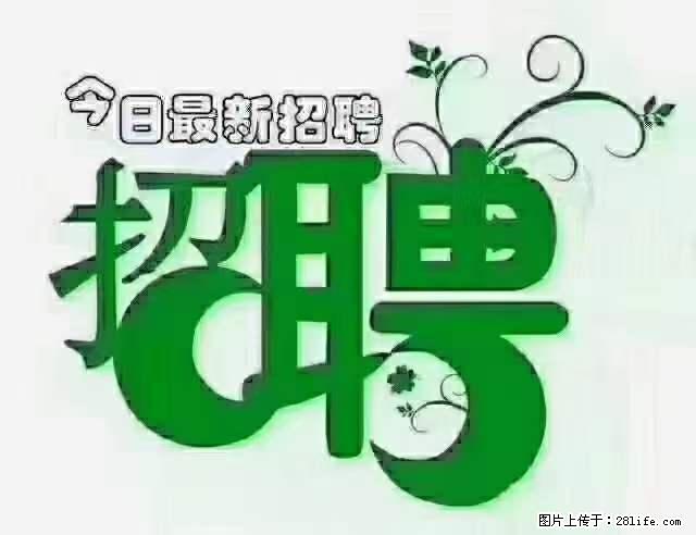 上海青浦区招仓管 - 职场交流 - 洛阳生活社区 - 洛阳28生活网 luoyang.28life.net