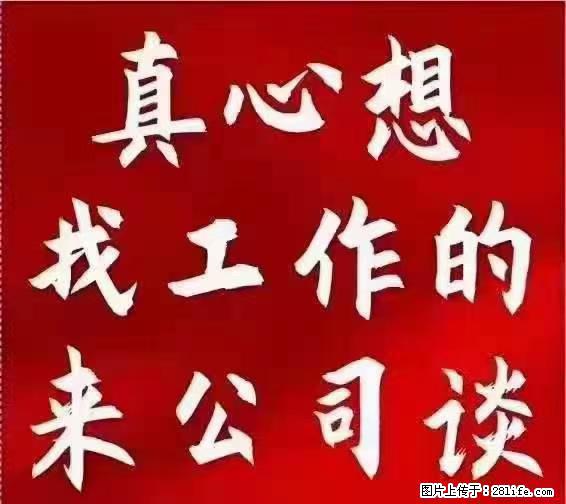 【上海】国企，医院招两名男保安，55岁以下，身高1.7米以上，无犯罪记录不良嗜好 - 职场交流 - 洛阳生活社区 - 洛阳28生活网 luoyang.28life.net