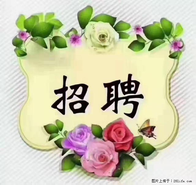 【招聘】住家育儿嫂，上户日期：4月4日，工作地址：上海 黄浦区 - 职场交流 - 洛阳生活社区 - 洛阳28生活网 luoyang.28life.net