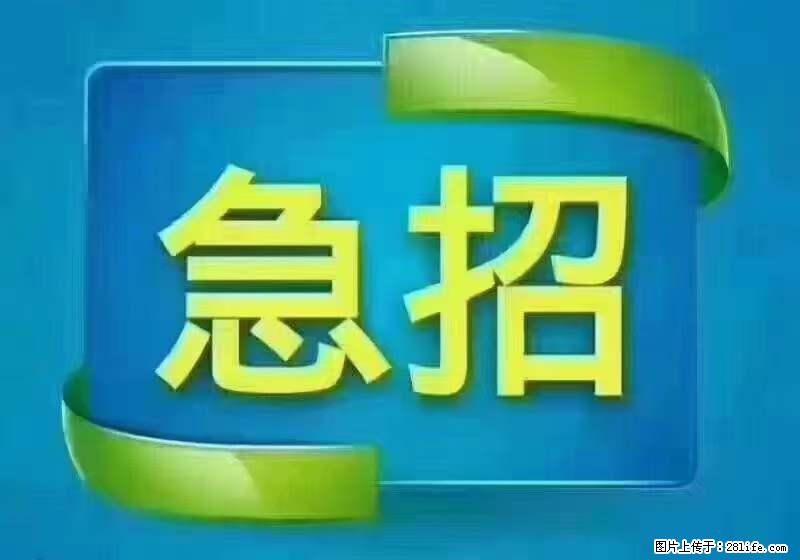 招出纳8000元/月，无证可以，要有相关经验，上海五险一金，包住，包工作餐，做六休一。 - 职场交流 - 洛阳生活社区 - 洛阳28生活网 luoyang.28life.net