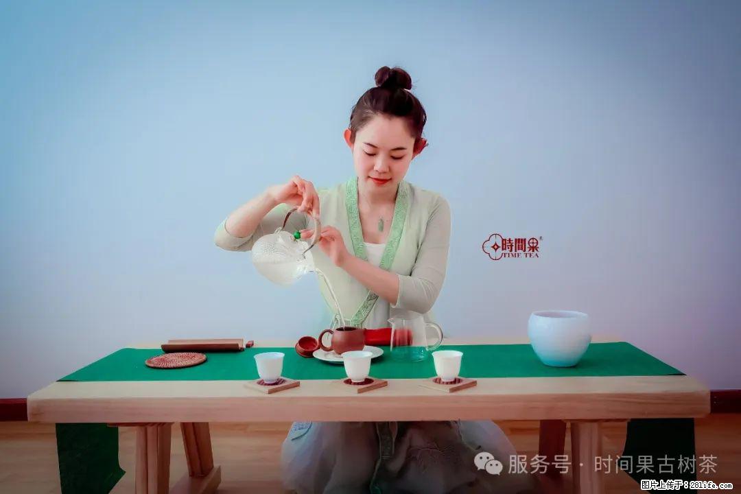 时间果百年古树龙珠普洱生茶 - 购物交流 - 洛阳生活社区 - 洛阳28生活网 luoyang.28life.net
