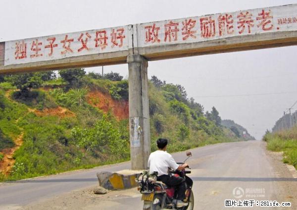 全面两孩政策计划明年元旦起实施 夫妻可延长生育假 - 洛阳生活资讯 - 洛阳28生活网 luoyang.28life.net
