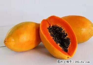 晕车、脚气、牙齿变黄、皮肤粗糙？学会这些三分钟搞定！ - 洛阳生活资讯 - 洛阳28生活网 luoyang.28life.net