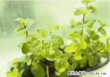 晕车、脚气、牙齿变黄、皮肤粗糙？学会这些三分钟搞定！ - 洛阳生活资讯 - 洛阳28生活网 luoyang.28life.net
