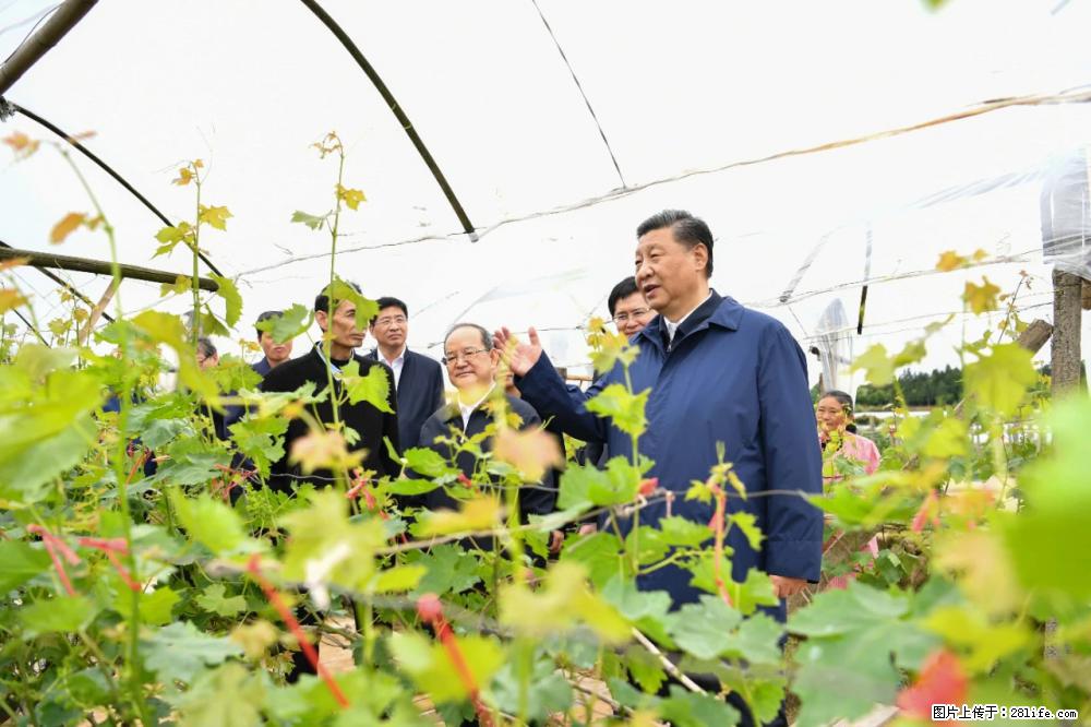 习近平赴广西考察调研 - 洛阳生活资讯 - 洛阳28生活网 luoyang.28life.net