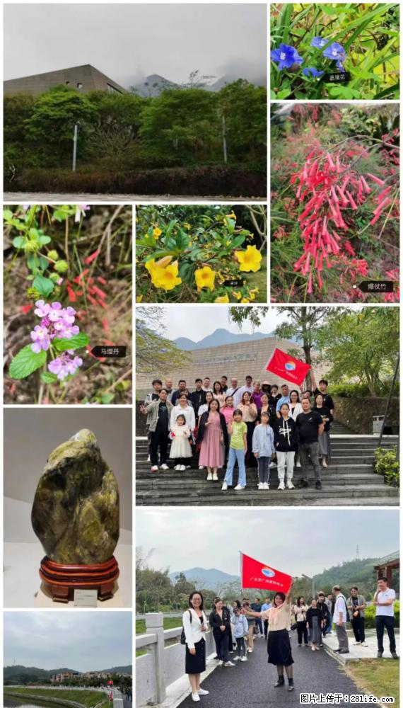 “粤灌文化 美好生活”油茶文化主题活动在广东深圳成功举办 - 洛阳生活资讯 - 洛阳28生活网 luoyang.28life.net