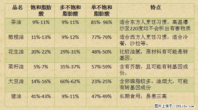 揭秘茶油的5大核心营养成分！被称为人体健康的“守护盾”！ - 洛阳生活资讯 - 洛阳28生活网 luoyang.28life.net