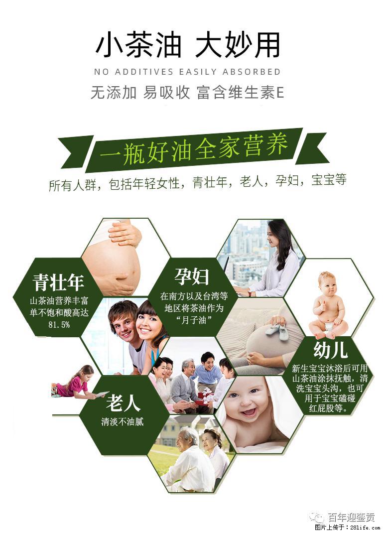 世界没有真相，只有认知，最好的食用油是中国的山茶油！ - 洛阳生活资讯 - 洛阳28生活网 luoyang.28life.net