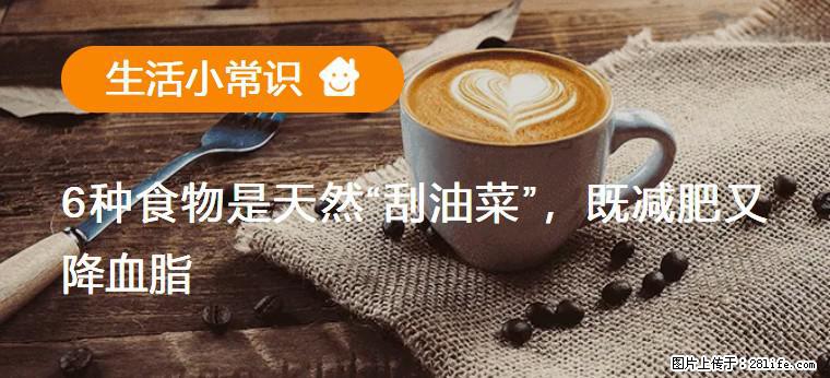 【生活小常识】6种食物是天然“刮油菜”，既减肥又降血脂 - 洛阳生活资讯 - 洛阳28生活网 luoyang.28life.net