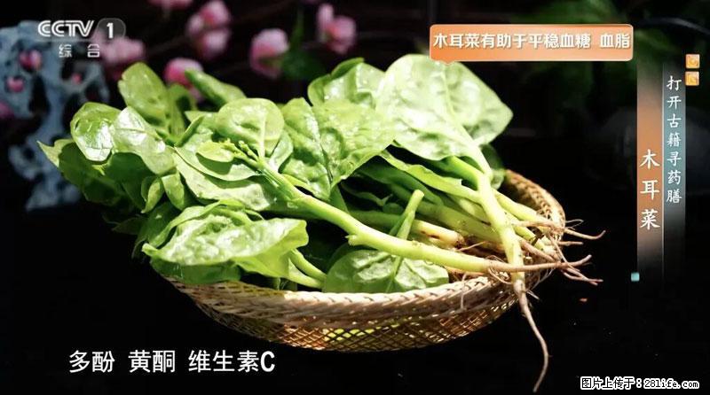 比牛奶补钙还厉害！凉血解毒、稳血糖...这菜冬天必吃，很多人却当草 - 洛阳生活资讯 - 洛阳28生活网 luoyang.28life.net