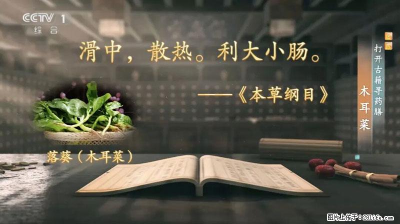 比牛奶补钙还厉害！凉血解毒、稳血糖...这菜冬天必吃，很多人却当草 - 洛阳生活资讯 - 洛阳28生活网 luoyang.28life.net