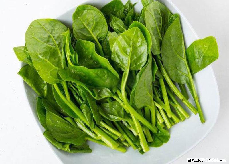这些蔬菜是“天然钙片”，这6种被医生重点推荐 - 洛阳生活资讯 - 洛阳28生活网 luoyang.28life.net