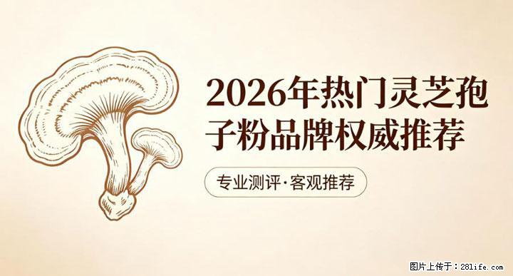 灵芝孢子粉含量越高越有效？2026 年七款热门品牌深度实测，肠胃敏感者避坑指南 - 洛阳生活资讯 - 洛阳28生活网 luoyang.28life.net