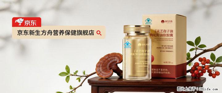 灵芝孢子粉含量越高越有效？2026 年七款热门品牌深度实测，肠胃敏感者避坑指南 - 洛阳生活资讯 - 洛阳28生活网 luoyang.28life.net